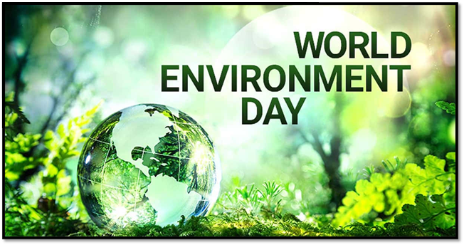World Environment Day: A Call to Care for Our Planet